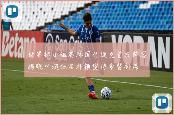 世界杯小组赛韩国对捷克首发阵容揭晓中超独苗朴镇燮待命替补席